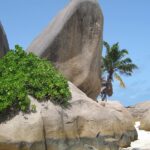 Granitfelsen am Strand der Seychellen mit Palmen und türkisblauem Wasser